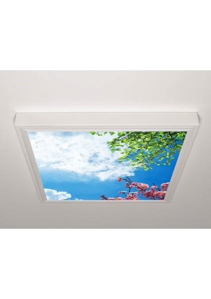 60X60 LED Panel Aydınlatma Armatür Avize Sıva Üstü Desenli Tekli 46510422SU