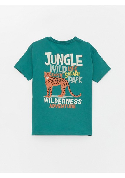 Gpj,jungle-Ku fırsatları