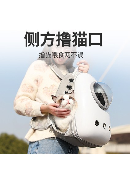 Evcil Hayvanlar Dışarı Çıkar Taşınabilir Şeffaf Taşınabilir Çanta Kedi Nefes Alabilen Uzay Kapsülü (Yurt Dışından) indirimleri