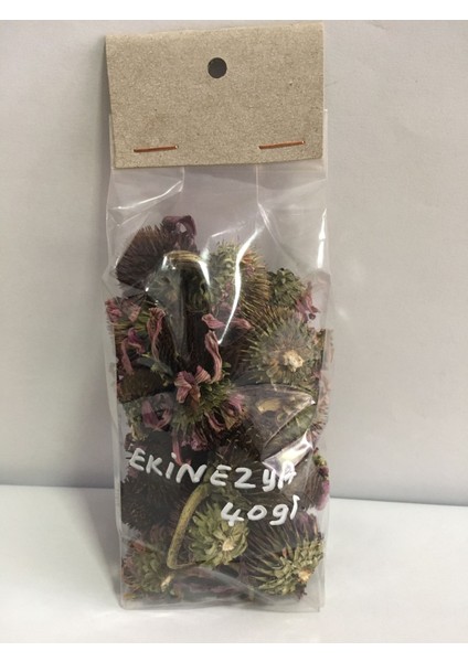 Ekinezya Çiçeği 40 gr
