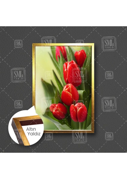 Kırmızı Lale Makro Doğa Manzara Çiçek Çerçeveli Dikey Kanvas Tablo