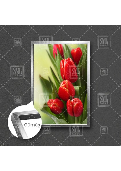 Kırmızı Lale Makro Doğa Manzara Çiçek Çerçeveli Dikey Kanvas Tablo fırsatları