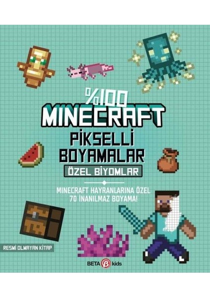 %100 Minecraft Pikselli Boyamalar Özel Biyomlar