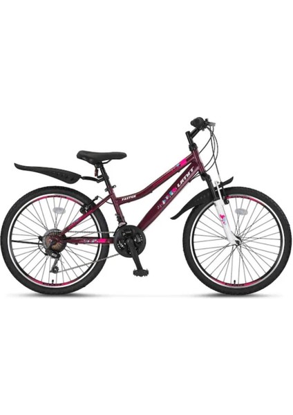 Bisiklet Faster Lady 26 Jant V Dağ Bisikleti Mürdüm Beyaz 2669 fiyatları