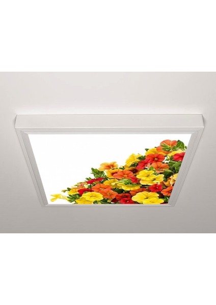 60X60 LED Panel Aydınlatma Armatür Avize Sıva Üstü Desenli Tekli 46510647SU