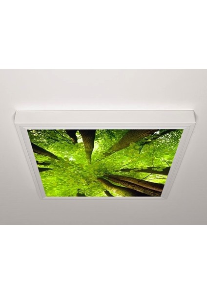 60X60 LED Panel Aydınlatma Armatür Avize Sıva Üstü Desenli Tekli 46510531SU