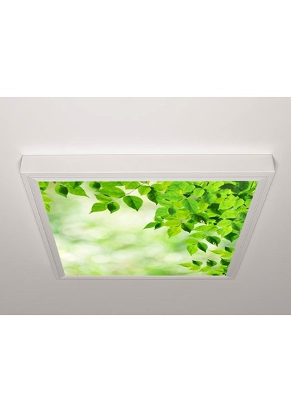 60X60 LED Panel Aydınlatma Armatür Avize Sıva Üstü Desenli Tekli 46510406SU