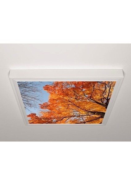 60X60 LED Panel Aydınlatma Armatür Avize Sıva Üstü Desenli Tekli 46510478SU