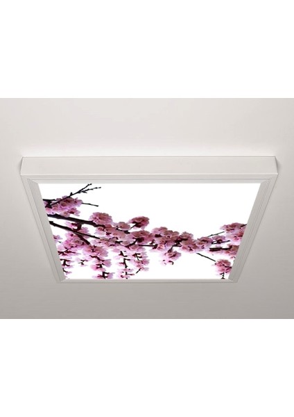 60X60 LED Panel Aydınlatma Armatür Avize Sıva Üstü Desenli Tekli 46510204SU