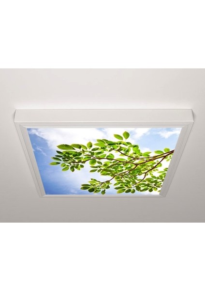 60X60 LED Panel Aydınlatma Armatür Avize Sıva Üstü Desenli Tekli 46510501SU