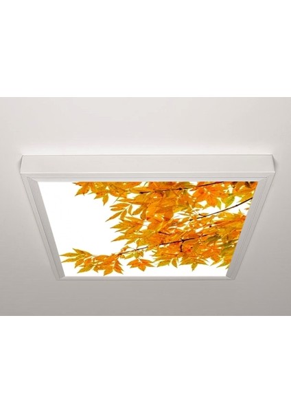 60X60 LED Panel Aydınlatma Armatür Avize Sıva Üstü Desenli Tekli 46510568SU