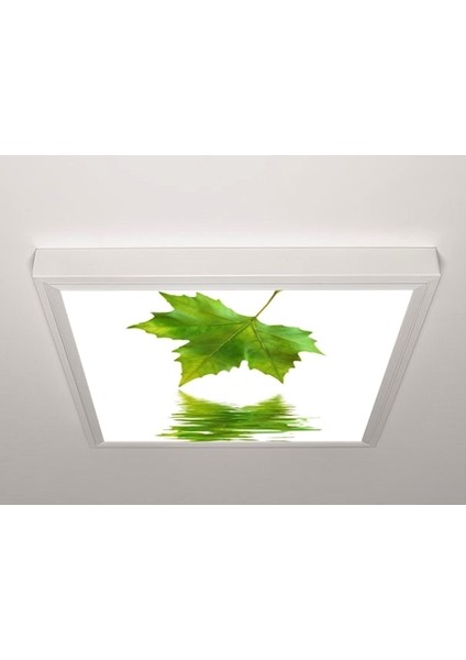 60X60 LED Panel Aydınlatma Armatür Avize Sıva Üstü Desenli Tekli 46510405SU