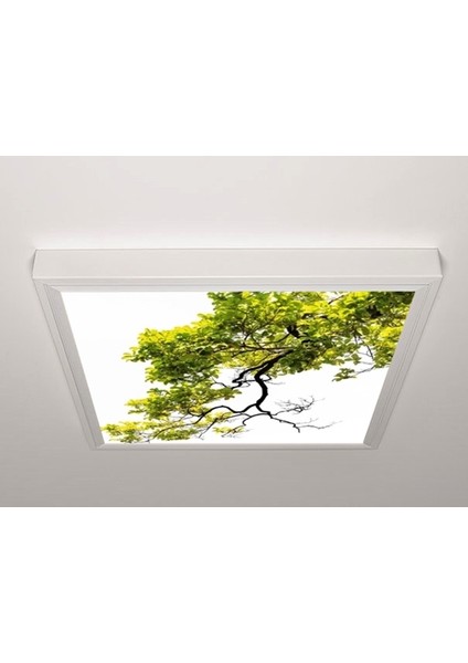 60X60 LED Panel Aydınlatma Armatür Avize Sıva Üstü Desenli Tekli 46510401SU