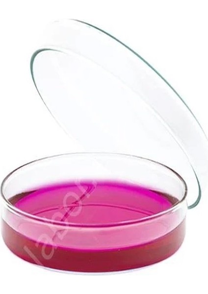 150*15 Petri Dish (1 Paket 10 Adet)