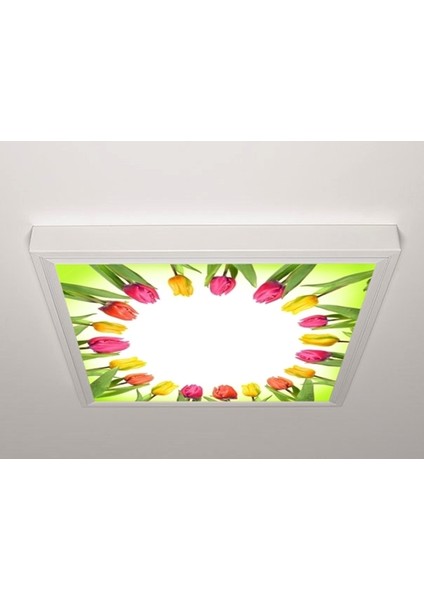 60X60 LED Panel Aydınlatma Armatür Avize Sıva Üstü Desenli Tekli 46510594SU