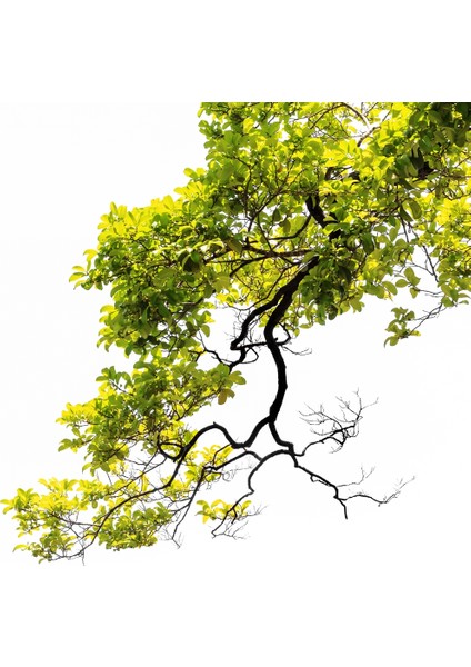 60X60 LED Panel Aydınlatma Armatür Avize Sıva Üstü Desenli Tekli 46510401SU modelleri