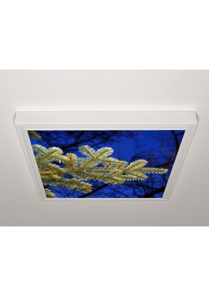60X60 LED Panel Aydınlatma Armatür Avize Sıva Üstü Desenli Tekli 46510533SU