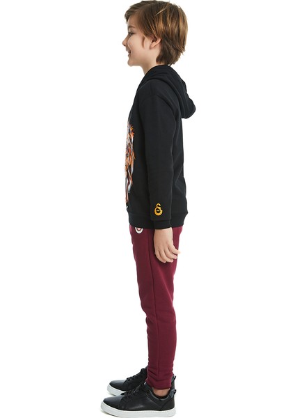 Galatasaray Çocuk Sweatshirt C232162 fiyatları