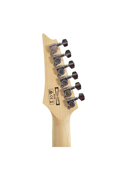 GRX70QA-TVT Grx Serisi Elektro Gitar