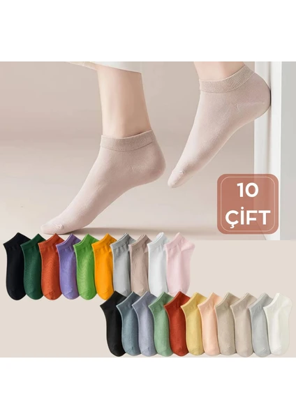 Kral Socks Renkli (10 Çift) Likralı Pamuklu Penye Kadın Patik Çorap