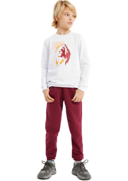 Galatasaray Çocuk Sweatshirt C232149 fiyatları