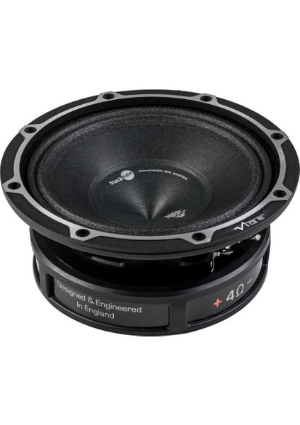 Vıbe BDPRO6M-V9 | Vıbe Blackdeath Serisi 16 cm Midrange/midbass