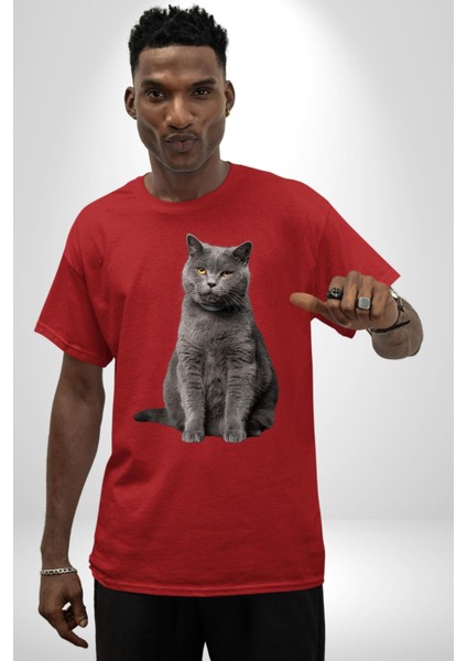 British Shorthair Kedi Pamuklu Bisiklet Yaka Kadın Erkek Oversize Boyfriend Dijital Baskılı Kırmızı T-Shirt fiyatları