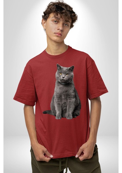 British Shorthair Kedi Pamuklu Bisiklet Yaka Kadın Erkek Oversize Boyfriend Dijital Baskılı Kırmızı T-Shirt fırsatları