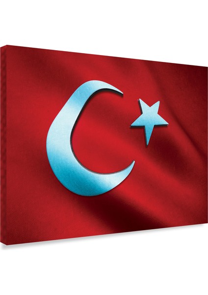 Al Bayrak Kanvas Tablo fiyatları