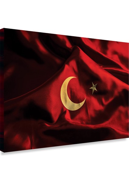 Al Bayrak Kanvas Tablo fiyatları