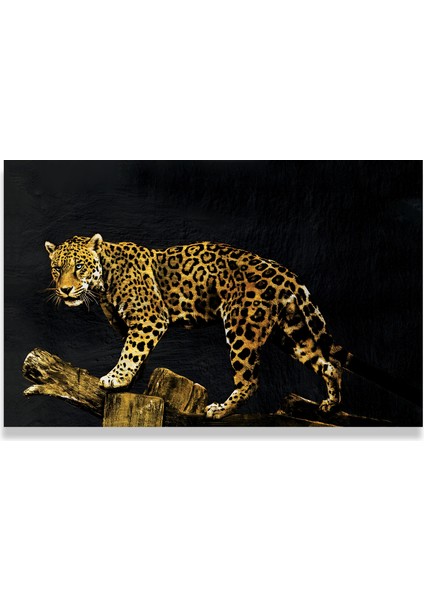 Leopar Kanvas Tablo fırsatları