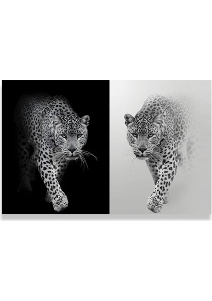 Leopar Kanvas Tablo fırsatları