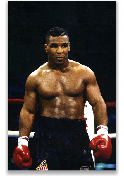 Mike Tyson Kanvas Tablo