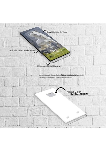 Saatli Beyaz At Cam Tablo fırsatları