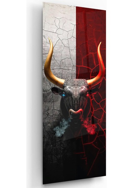 Boğa Cam Tablo fiyatları