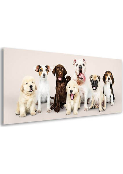 Sevimli Köpekler Cam Tablo