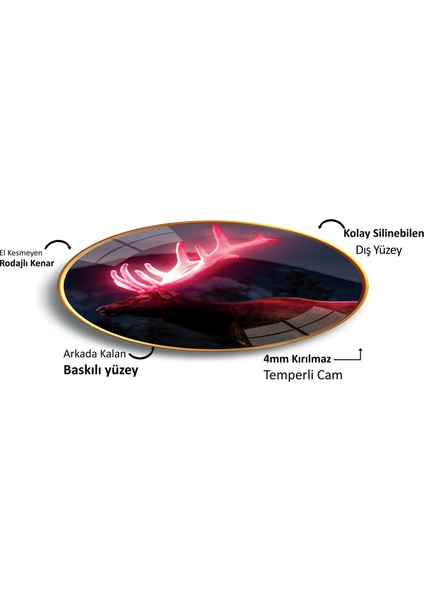 Geyik Cam Tablo fırsatları