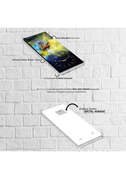 Saatli Papağan Cam Tablo indirimleri