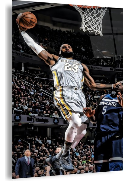 Lebron James Cam Tablo fiyatları