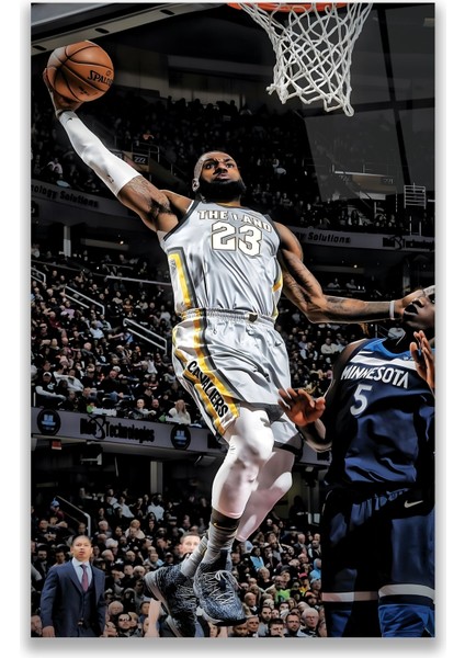 Lebron James Cam Tablo fırsatları