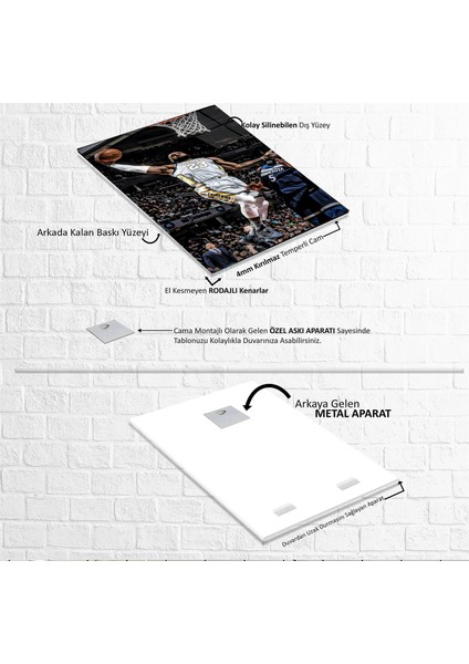 Lebron James Cam Tablo indirimleri