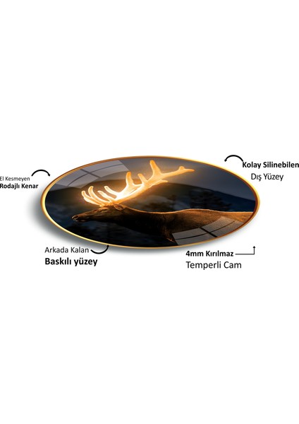 Geyik Cam Tablo fırsatları