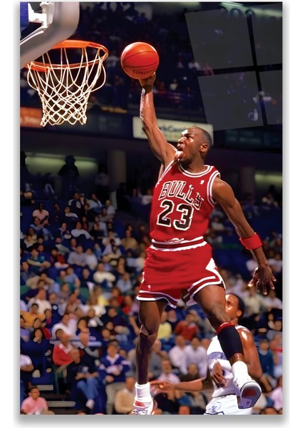 Michael Jordan Cam Tablo fırsatları