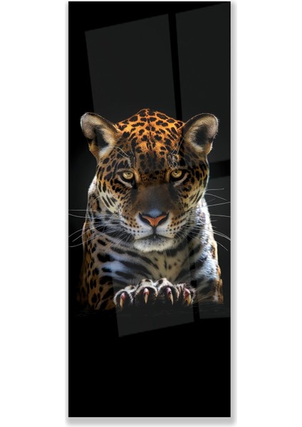 Leopar Cam Tablo