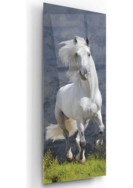 Beyaz At Cam Tablo fiyatları