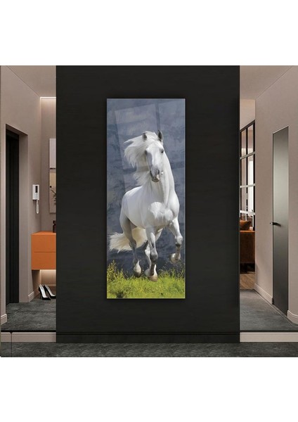 Beyaz At Cam Tablo modelleri