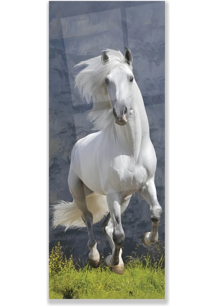 Beyaz At Cam Tablo fırsatları