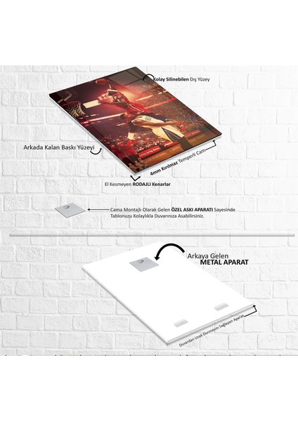 Lebron James Cam Tablo indirimleri