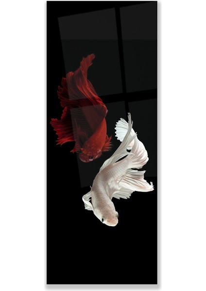 Balıklar Cam Tablo modelleri