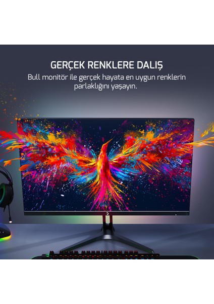 24'' Bull T10 Flat IPS 180Hz 0.5ms Gaming Monitör